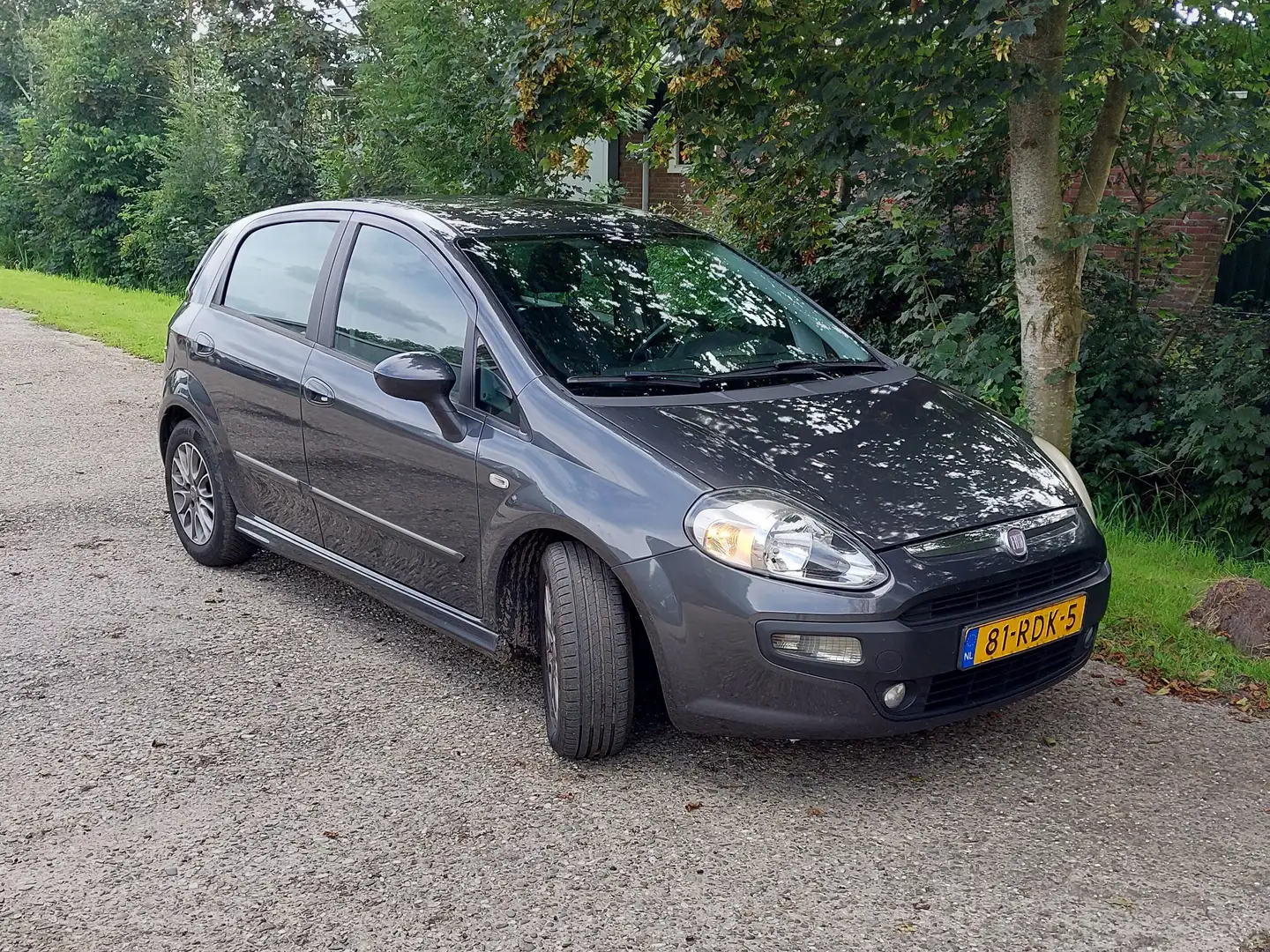 Fiat Punto Punto 1.3 M-Jet Dynamic Szary - 1