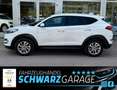 Hyundai TUCSON blue Intro Edition 2WD*LED* Bianco - thumbnail 4