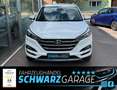 Hyundai TUCSON blue Intro Edition 2WD*LED* Bianco - thumbnail 3