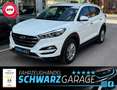 Hyundai TUCSON blue Intro Edition 2WD*LED* Bianco - thumbnail 1