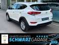 Hyundai TUCSON blue Intro Edition 2WD*LED* Bianco - thumbnail 5