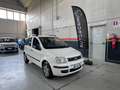 Fiat Panda Panda II 2003 1.2 Dynamic Gpl Bianco - thumbnail 1