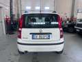 Fiat Panda Panda II 2003 1.2 Dynamic Gpl Bianco - thumbnail 9
