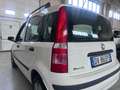 Fiat Panda Panda II 2003 1.2 Dynamic Gpl Bianco - thumbnail 11