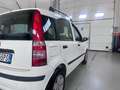 Fiat Panda Panda II 2003 1.2 Dynamic Gpl Bianco - thumbnail 10