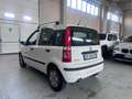 Fiat Panda Panda II 2003 1.2 Dynamic Gpl Bianco - thumbnail 8