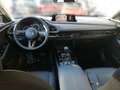 Mazda CX-30 G140 AT HOMURA 2xKlima AUT DynLicht HUD LM Schwarz - thumbnail 10