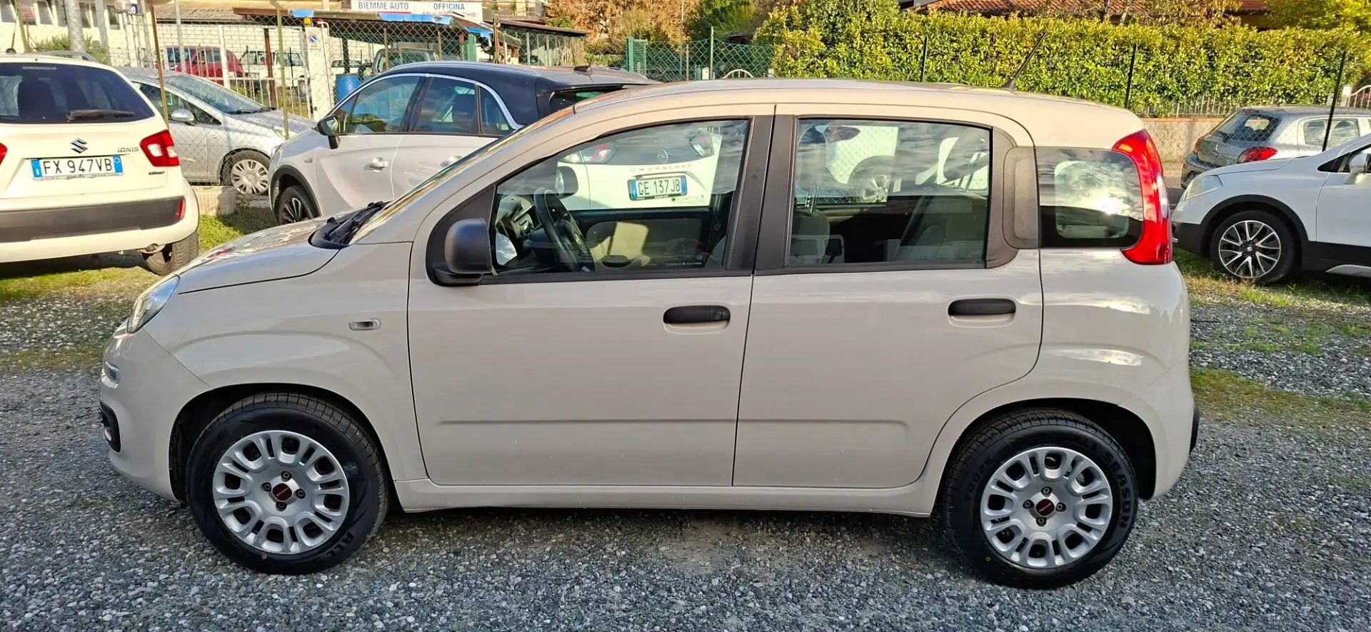 Fiat Panda Panda 1.2 Pop Beige - 2