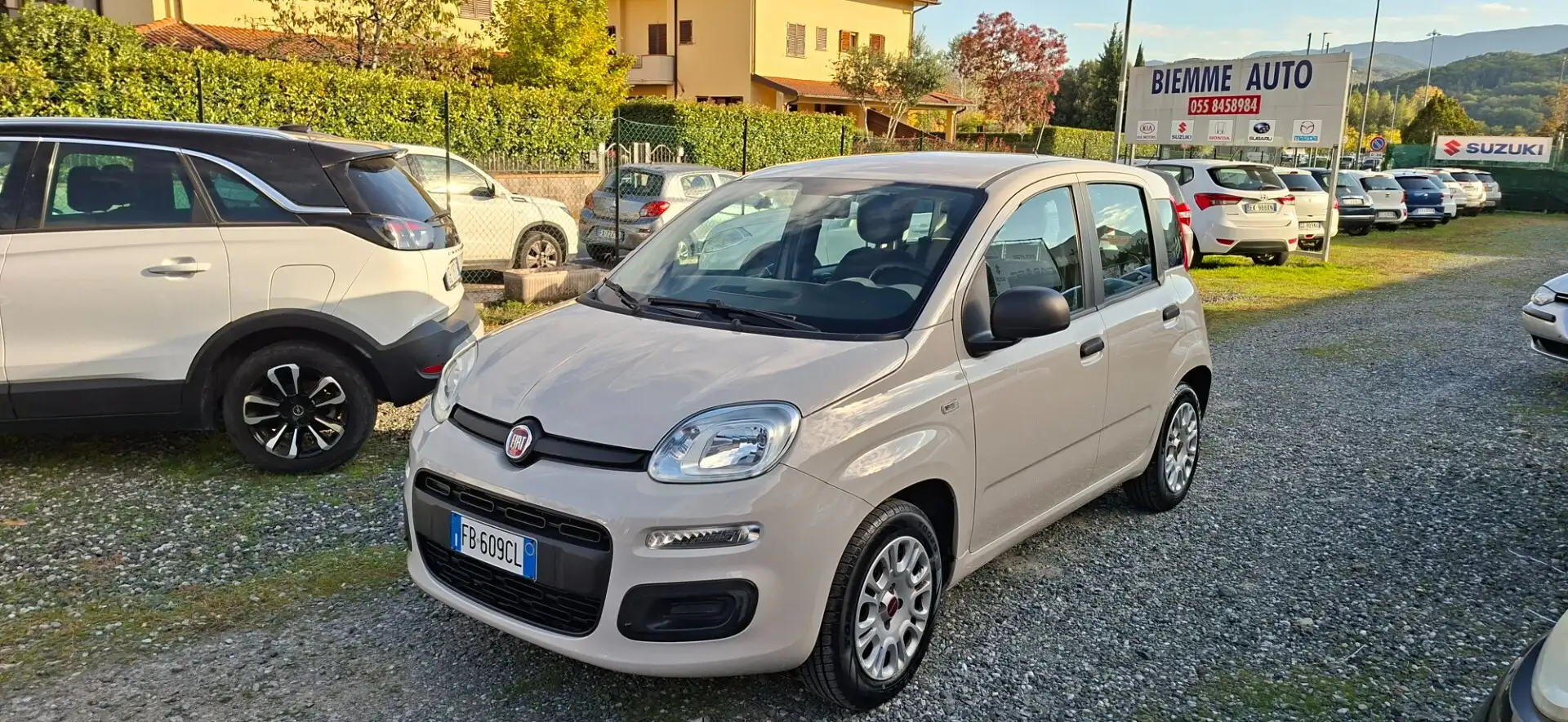 Fiat Panda Panda 1.2 Pop Beige - 1