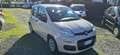 Fiat Panda Panda 1.2 Pop Beige - thumbnail 3