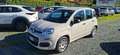 Fiat Panda Panda 1.2 Pop Beige - thumbnail 1