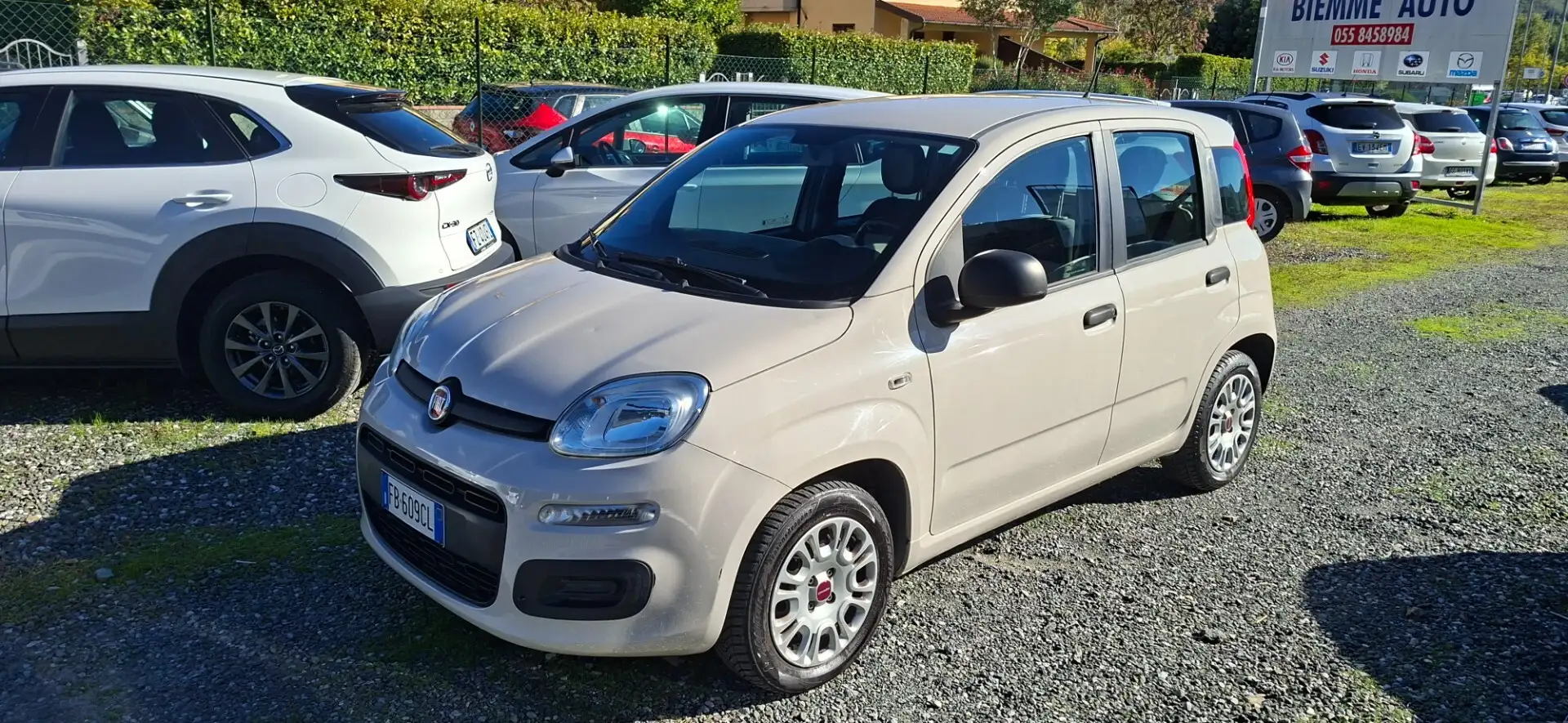 Fiat Panda Panda 1.2 Pop Beige - 1
