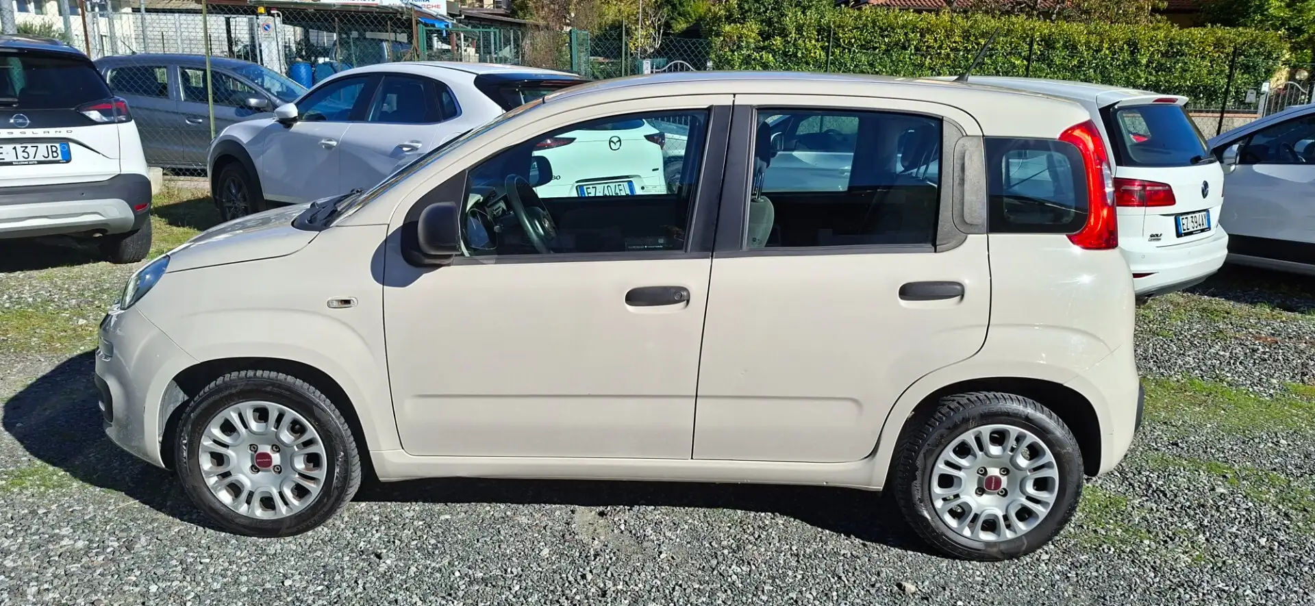 Fiat Panda Panda 1.2 Pop Beige - 2