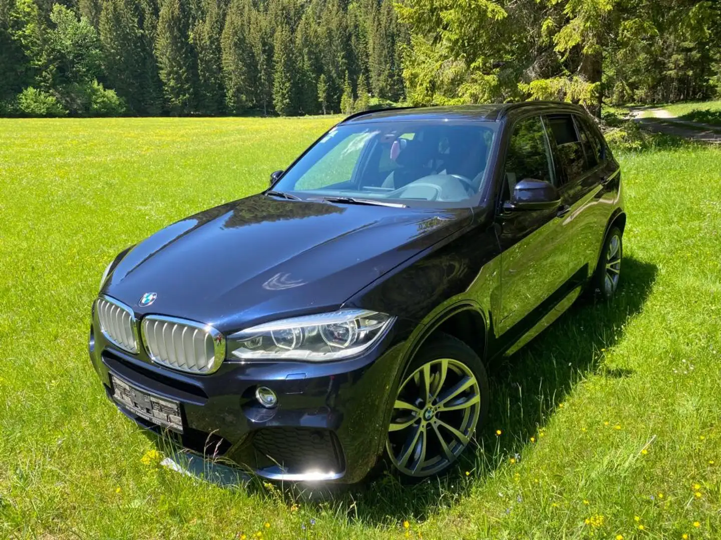 BMW X5 xDrive40d Österreich-Paket Aut. Blau - 1