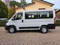 Fiat Ducato 33 2.2 Mjt 140CV PC-TN Combi 9 POSTI Bianco - thumbnail 1