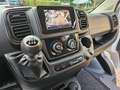 Fiat Ducato 33 2.2 Mjt 140CV PC-TN Combi 9 POSTI Bianco - thumbnail 13