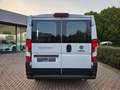Fiat Ducato 33 2.2 Mjt 140CV PC-TN Combi 9 POSTI Bianco - thumbnail 5