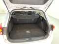 Ford Focus 1.5 EcoBlue Titanium Start/Stopp AHK SpoSi Key Weiß - thumbnail 12