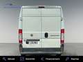Fiat Ducato FOURGON 3.3 L H2 2.3 MULTIJET PACK CD CLIM Weiß - thumbnail 6
