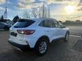 Ford Kuga Plug-In Hybrid Titanium Weiß - thumbnail 5