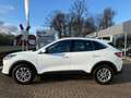 Ford Kuga Plug-In Hybrid Titanium Weiß - thumbnail 3