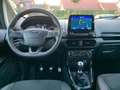 Ford EcoSport ST-Line Navi Alcantara SHZ PDC Tüv: Neu Grau - thumbnail 17