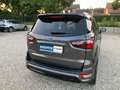 Ford EcoSport ST-Line Navi Alcantara SHZ PDC Tüv: Neu Grau - thumbnail 6
