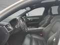 Volvo V90 B4 Mild-Hybrid Plus Dark ACC BLIS SD Weiß - thumbnail 3