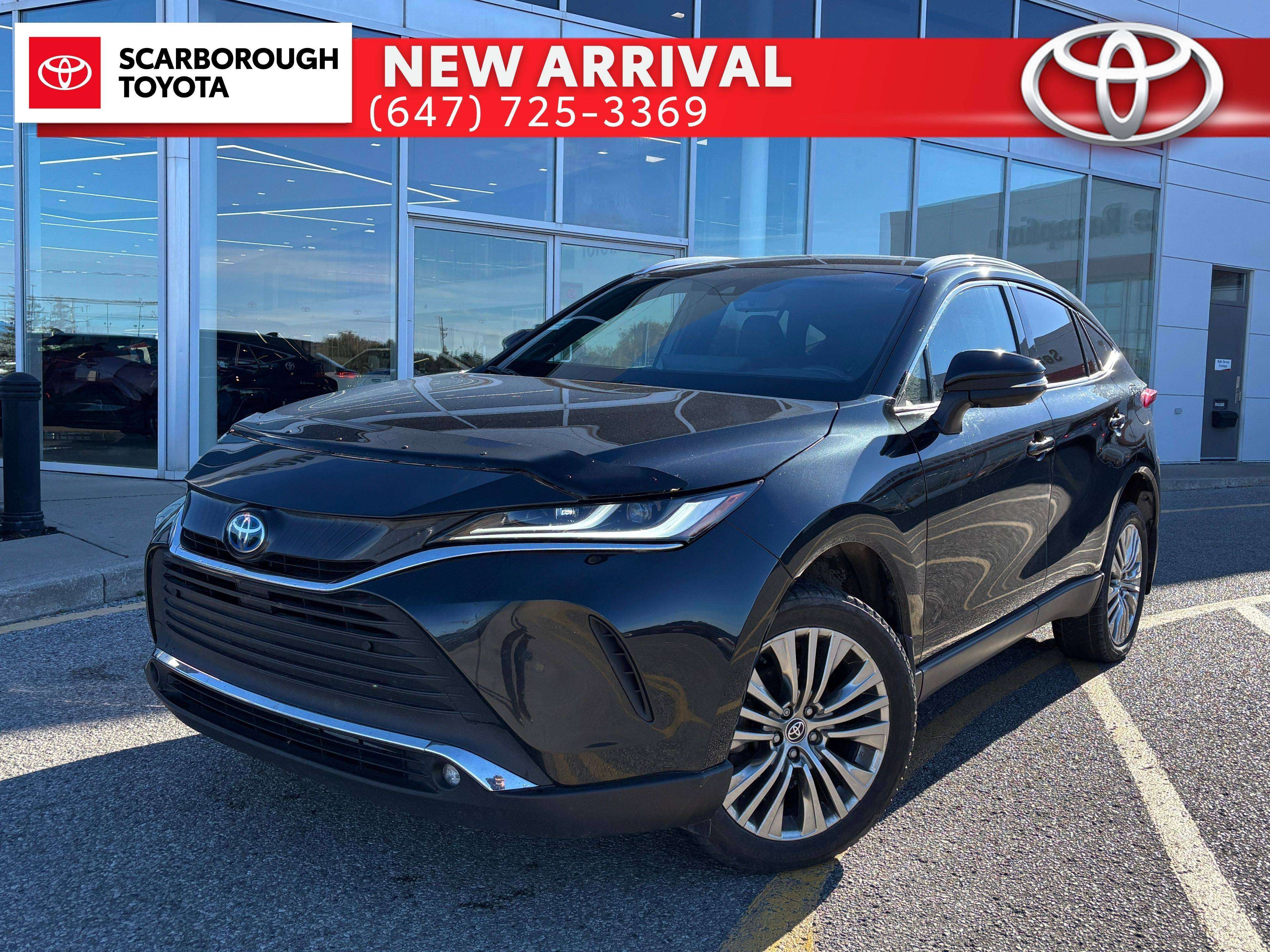 2024 Toyota Venza XLE AWD |