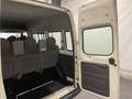 Ford Transit 2.0 TD 75CV 9POSTI+TENDALINO+GANCIOTRAINO Blanc - thumbnail 14