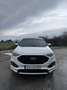 Ford Edge 2.7 V6 Ecoboost Weiß - thumbnail 1