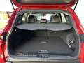 Renault Kadjar 1.2 TCe Extase Pano l Leer l Bose l LED l Camera l Rot - thumbnail 19