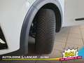 Kia Niro 1.6 Full Hybrid Style Techno Pack 105cv DCT6 Bianco - thumbnail 15