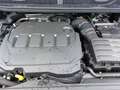 Volkswagen Caddy Caddy Maxi Dark Label 2.0 TDI DSG Rollstuhlumbau Grau - thumbnail 5