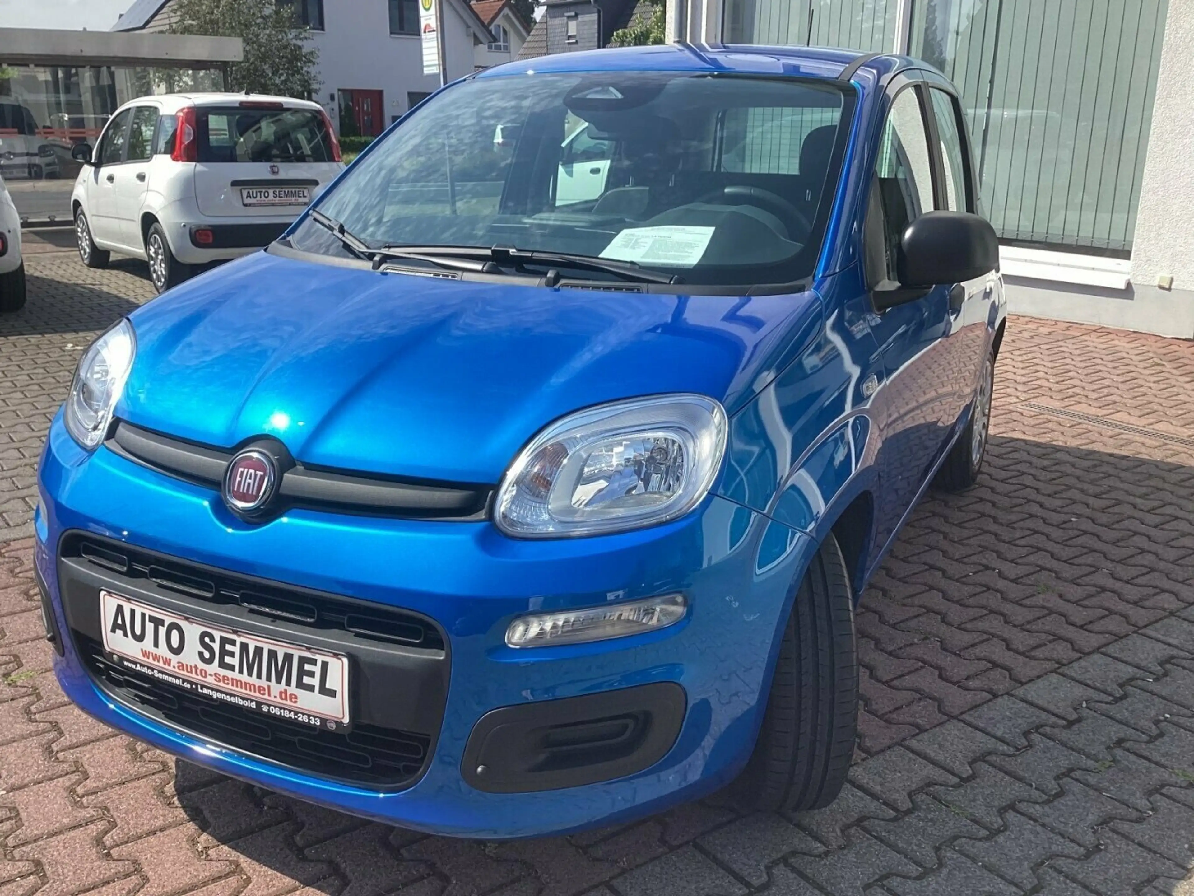 Fiat Panda Pandina Icon 1,0 Hybrid — photo 4