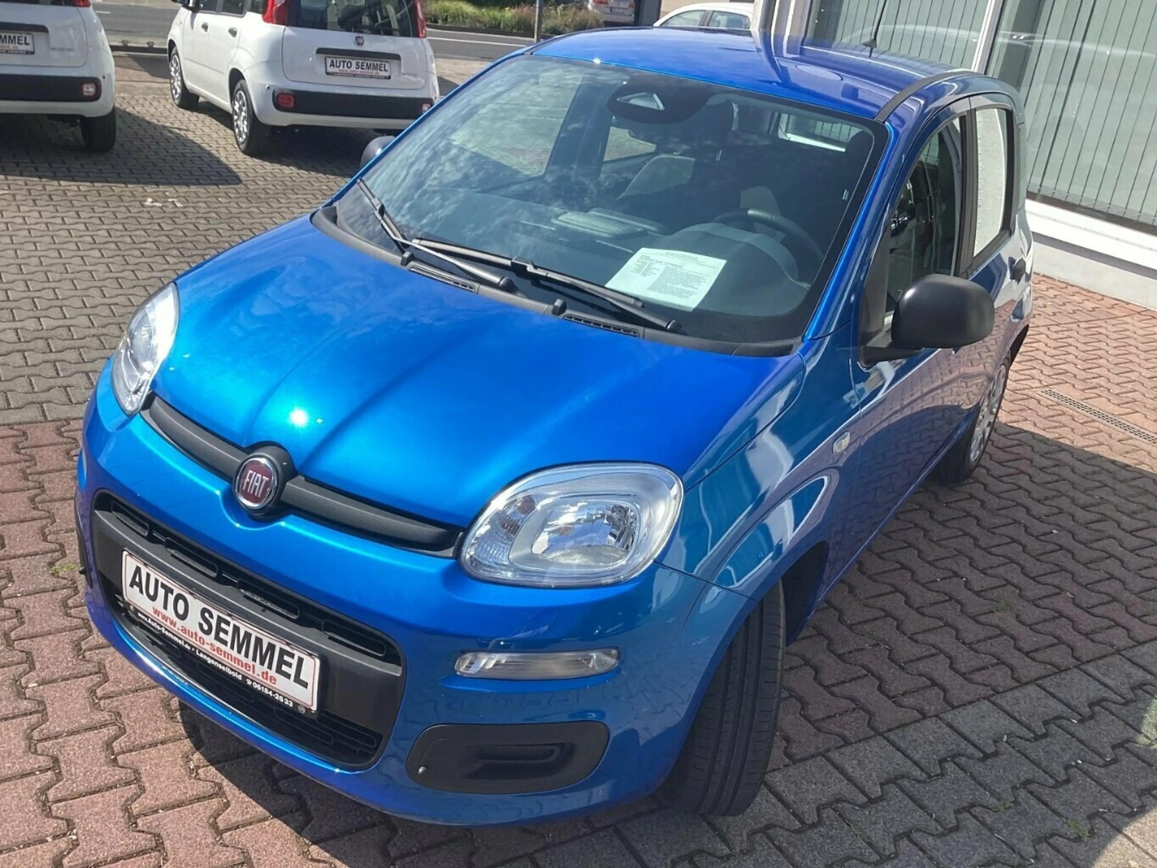 Fiat Panda Pandina Icon 1,0 Hybrid — photo 5