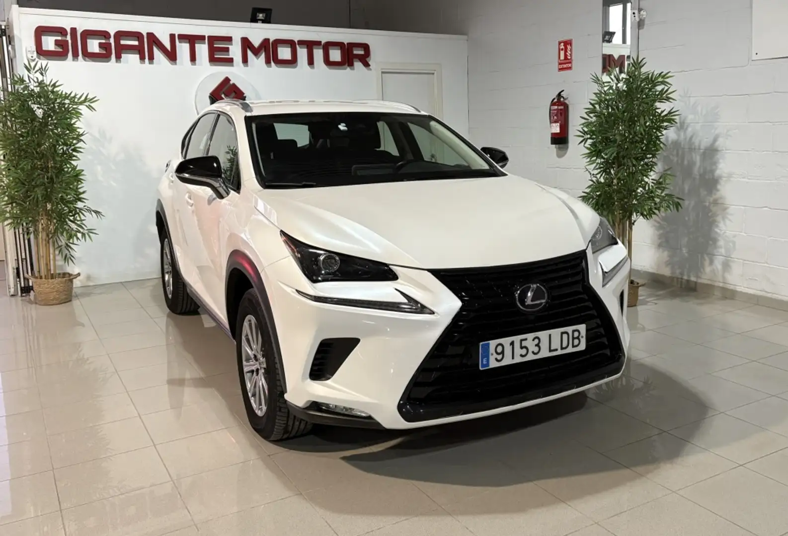Lexus NX 300 300h Business Navigation 2WD Bílá - 1
