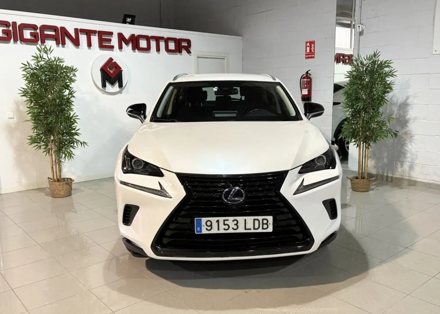 Lexus NX 300 300h Business Navigation 2WD Bílá - 2