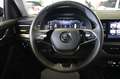 Skoda Kamiq 1.0 TSI 110 CV Style Bianco - thumbnail 13