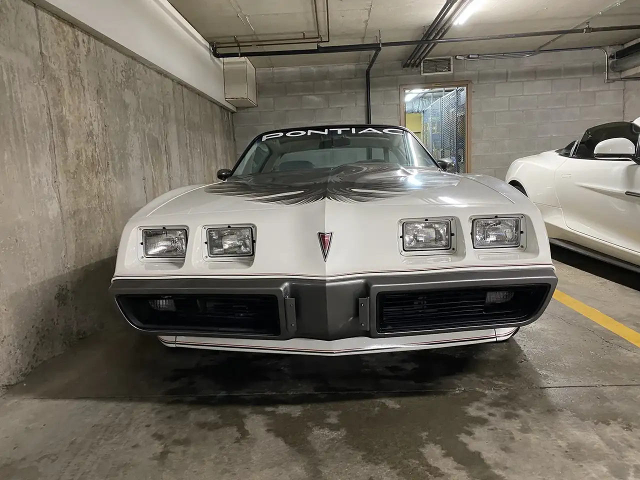 Pontiac Firebird снимка Pontiac Firebird