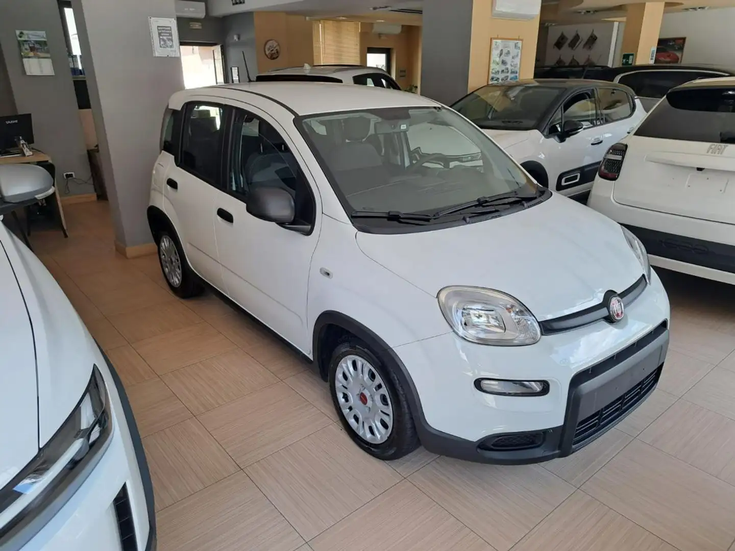 Fiat Panda 1.0 FireFly S&S Hybrid Bianco - 1