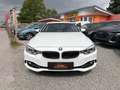 BMW 420 d xDrive*PDC*NAVI*Leder*Klima*Sitzheizung*Tempomat Weiß - thumbnail 2