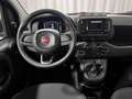 Fiat Panda 1.0 FireFly S&S Hybrid 5 Posti Rosso - thumbnail 14