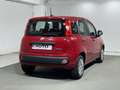 Fiat Panda 1.0 FireFly S&S Hybrid 5 Posti Rosso - thumbnail 5