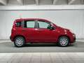Fiat Panda 1.0 FireFly S&S Hybrid 5 Posti Rosso - thumbnail 6
