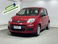 Fiat Panda 1.0 FireFly S&S Hybrid 5 Posti Rosso - thumbnail 1