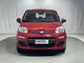 Fiat Panda 1.0 FireFly S&S Hybrid 5 Posti Rosso - thumbnail 8
