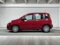 Fiat Panda 1.0 FireFly S&S Hybrid 5 Posti Rosso - thumbnail 2