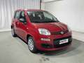 Fiat Panda 1.0 FireFly S&S Hybrid 5 Posti Rosso - thumbnail 7