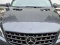 Mercedes-Benz ML 350 CDI BlueTec *AMG Line*Pano*AHK Grau - thumbnail 5